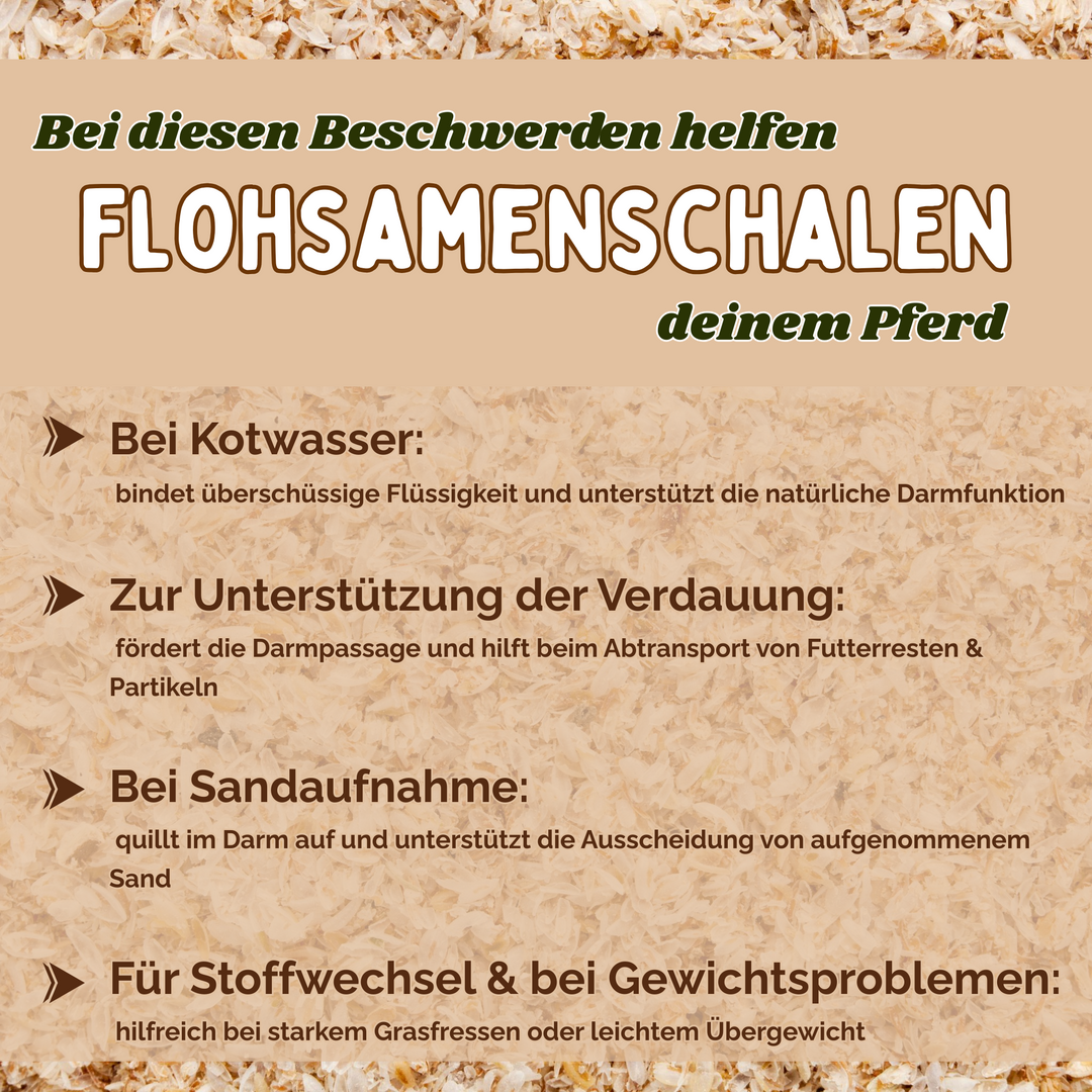 Flohsamenschalen Pferd