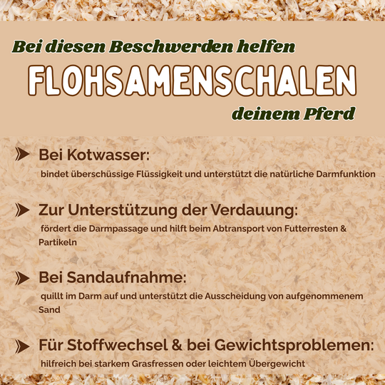 Flohsamenschalen Pferd
