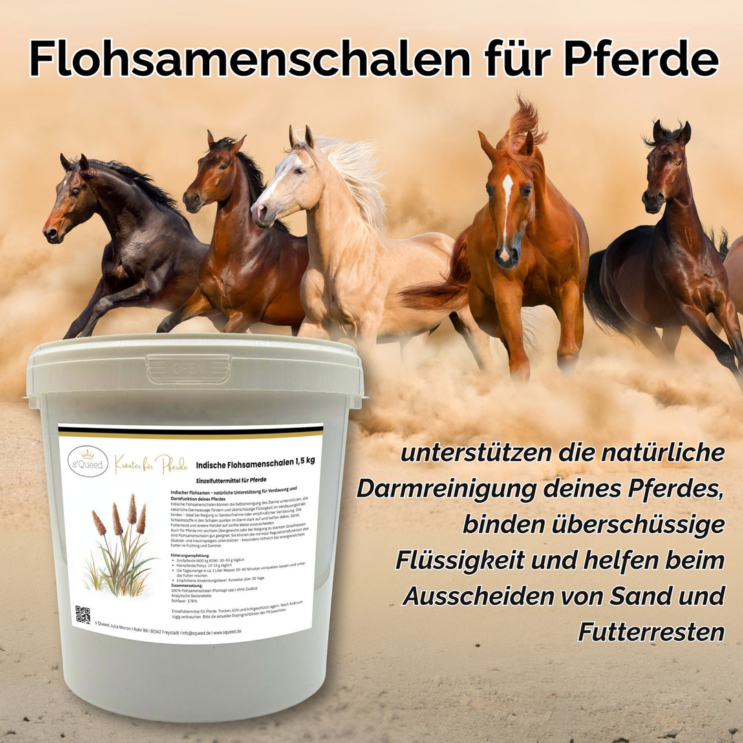 Flohsamenschalen Pferd