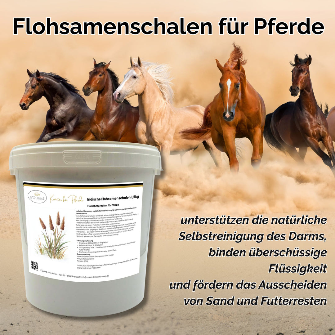 Flohsamenschalen Pferd 1,5 kg - bei Kotwasser und empfindlicher Verdauung