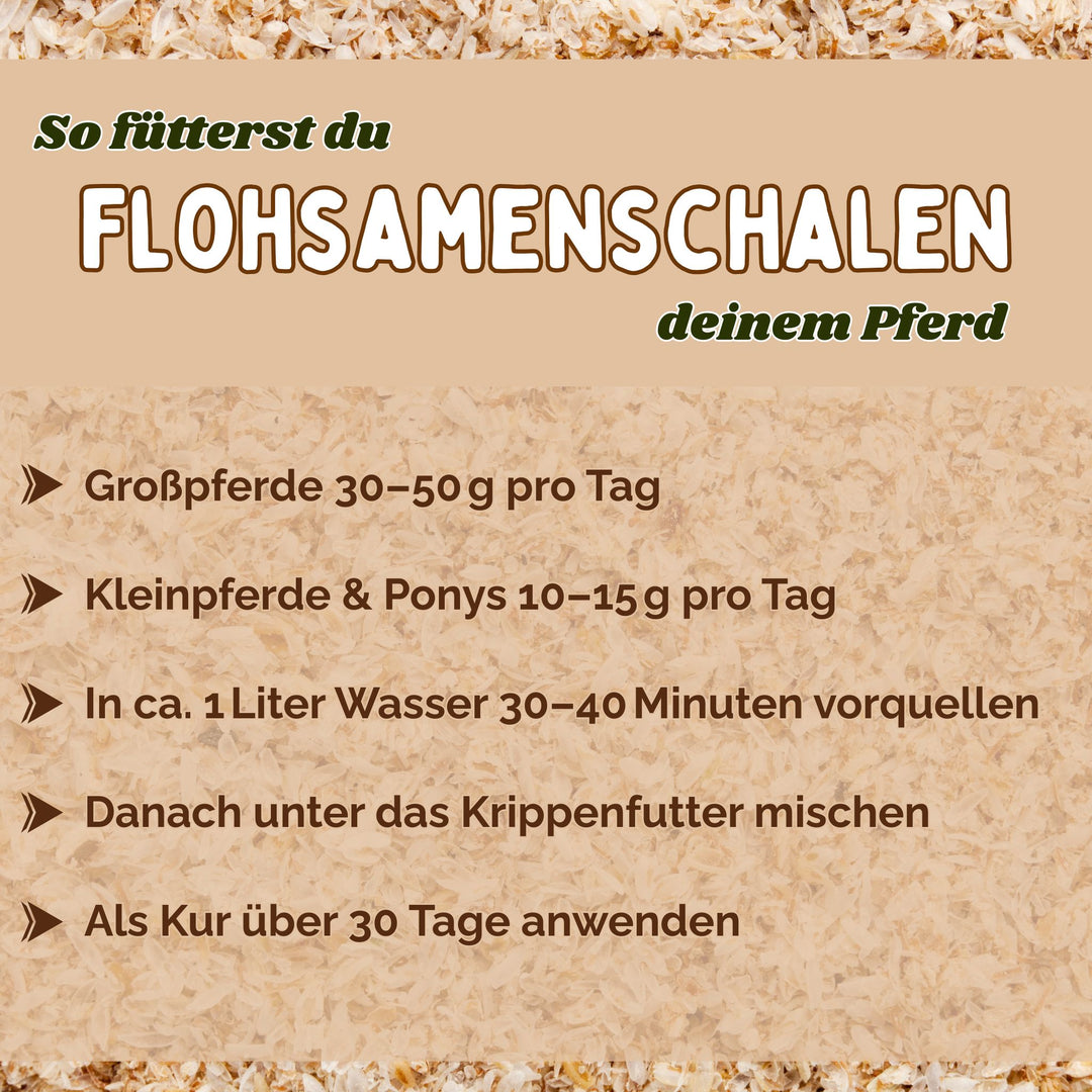 Flohsamenschalen Pferd