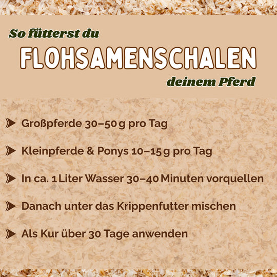 Flohsamenschalen Pferd