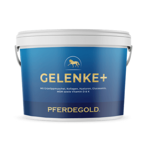 Gelenke+ 2.0