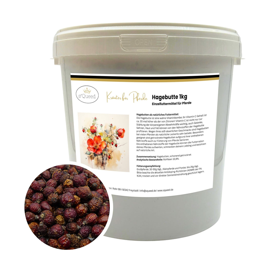 Hagebutte Pferd - Immunsystem stärken Pferd
