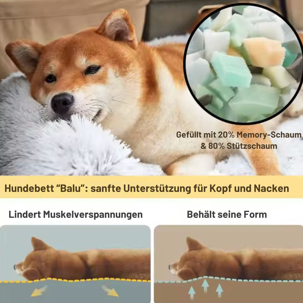 Hundebett "Balu" wasserdicht & waschbar – mit hohem Rand für Auto & Sofa