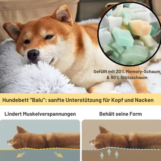 Hundebett "Balu" wasserdicht & waschbar – mit hohem Rand für Auto & Sofa