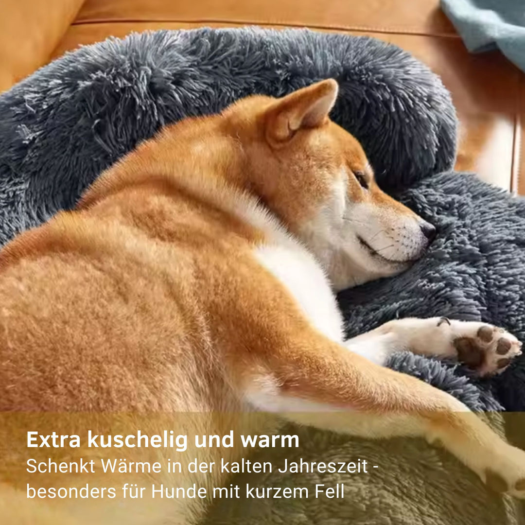 Hundebett "Balu" wasserdicht & waschbar – mit hohem Rand für Auto & Sofa