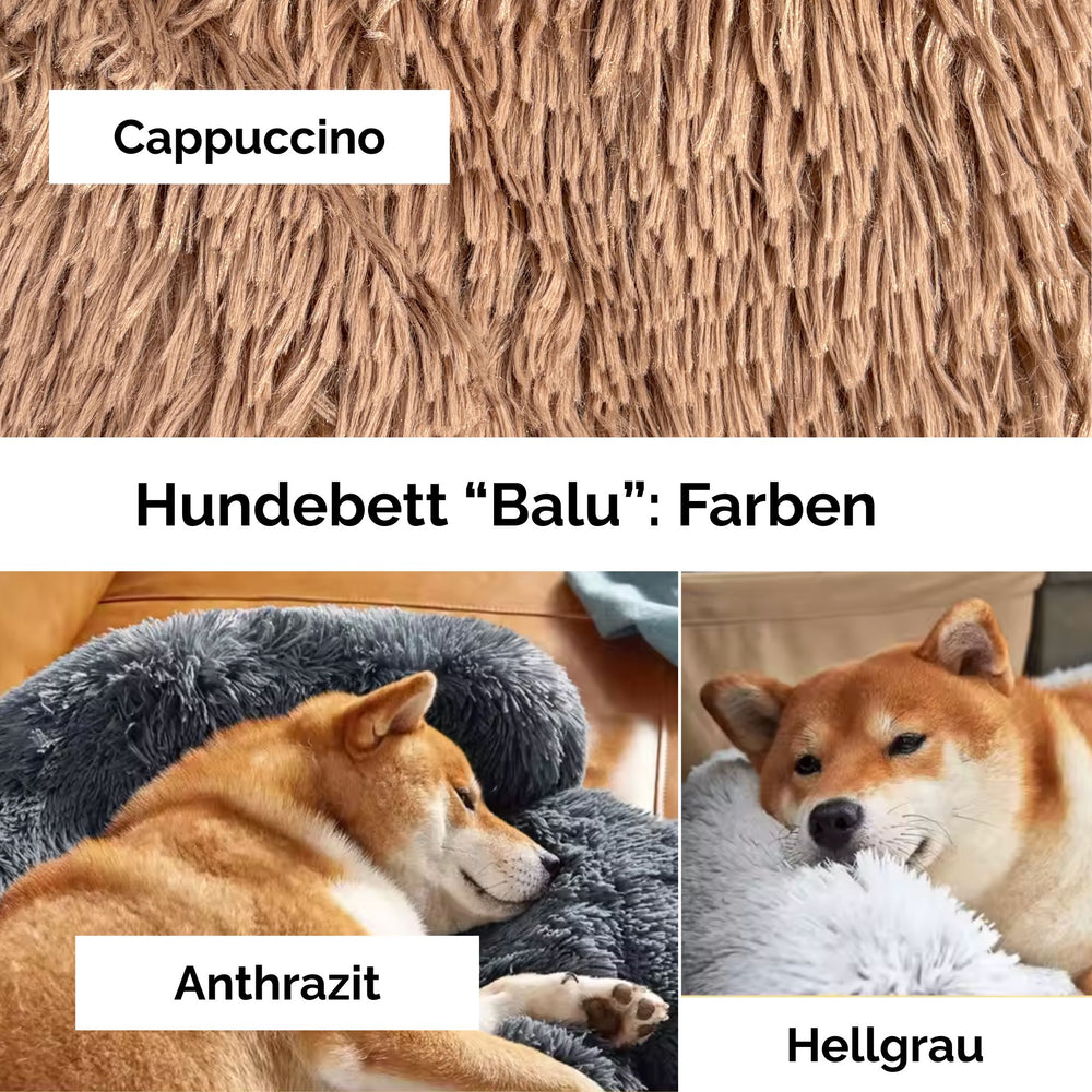 Hundebett "Balu" wasserdicht & waschbar – mit hohem Rand für Auto & Sofa