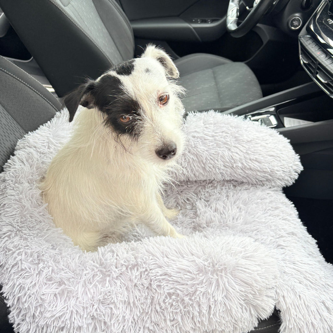 Hundebett mit hohem Rand I Hundebett waschbar I Hundebett Auto I Hundebett für Kofferraum I Hundebett Auto Rücksitz I Hundebett wasserdicht & schmutzabweisend