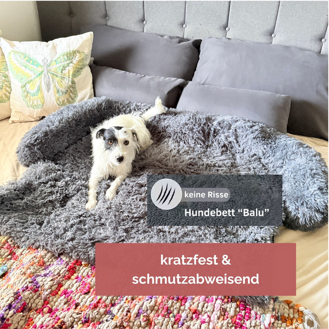Hundebett mit hohem Rand I Hundebett waschbar I Hundebett Auto I Hundebett für Kofferraum I Hundebett Auto Rücksitz I Hundebett wasserdicht & schmutzabweisend