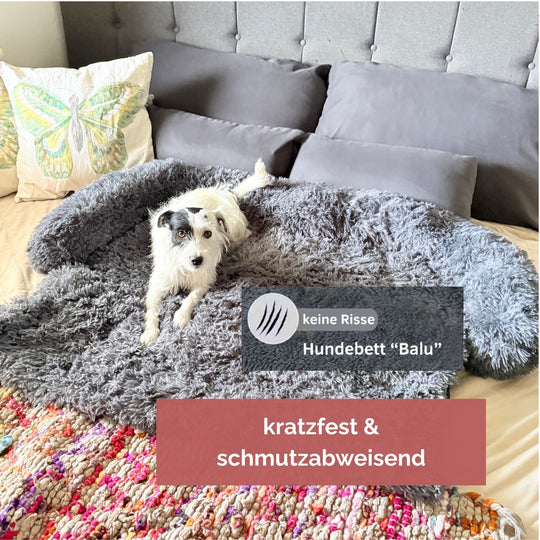 Hundebett mit hohem Rand I Hundebett waschbar I Hundebett Auto I Hundebett für Kofferraum I Hundebett Auto Rücksitz I Hundebett wasserdicht & schmutzabweisend