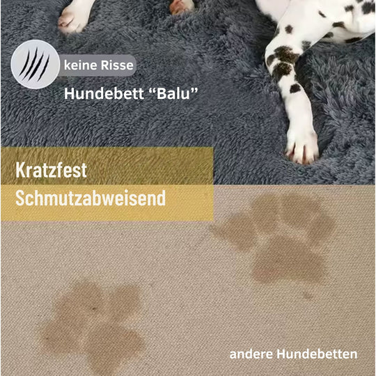 Hundebett "Balu" wasserdicht & waschbar – mit hohem Rand für Auto & Sofa
