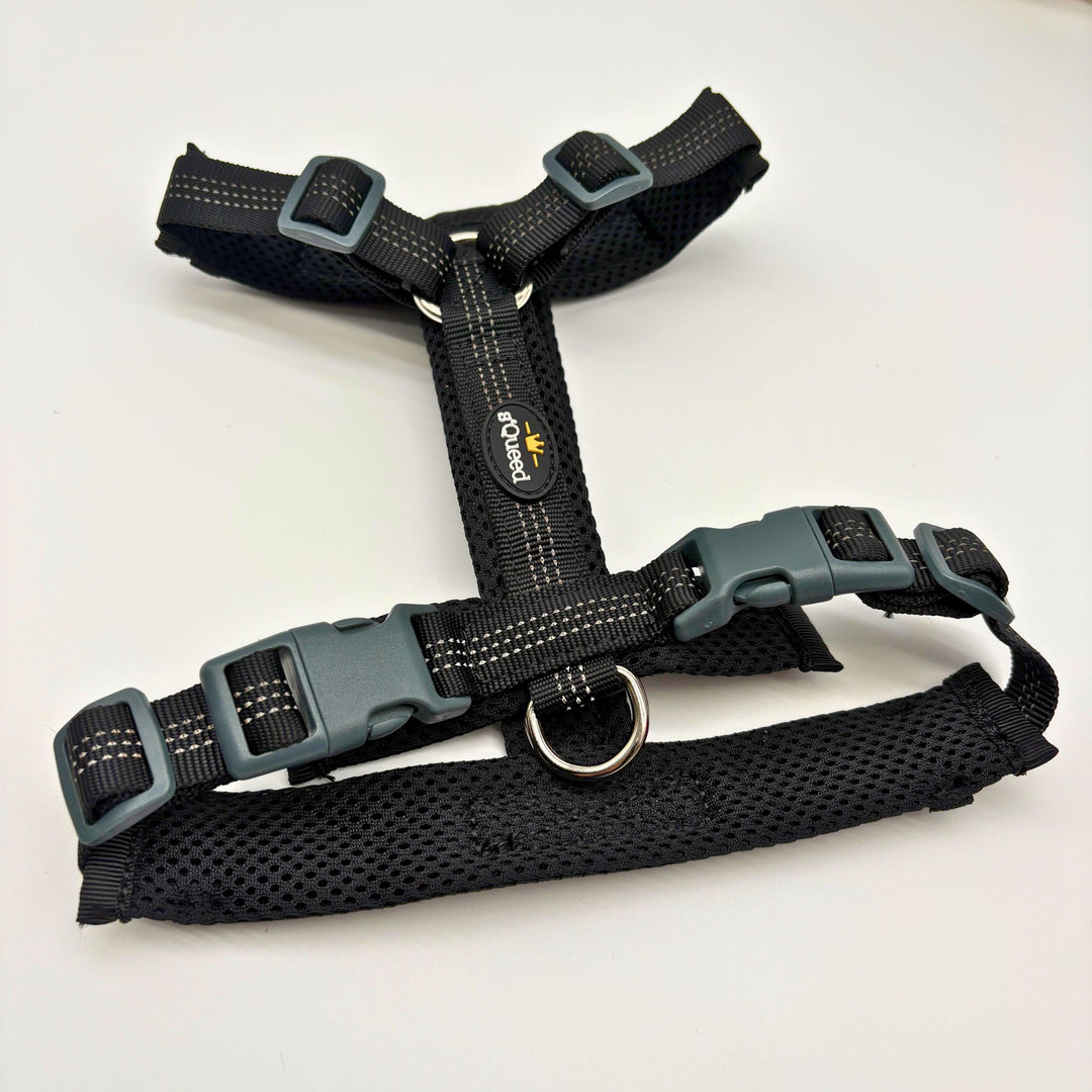 Hundegeschirr „LumiSafe Comfort“