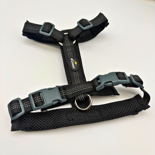 Hundegeschirr „LumiSafe Comfort“