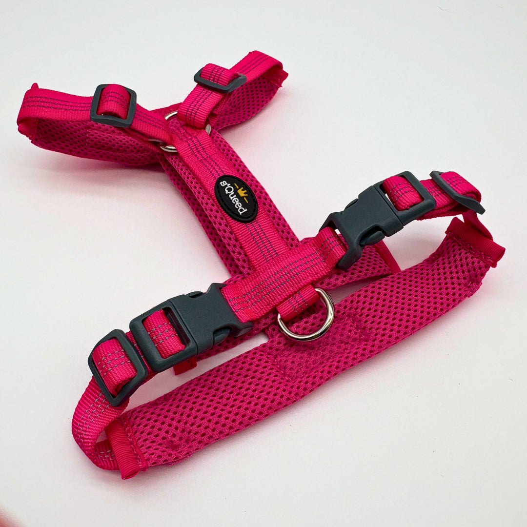 Hundegeschirr „LumiSafe Comfort“