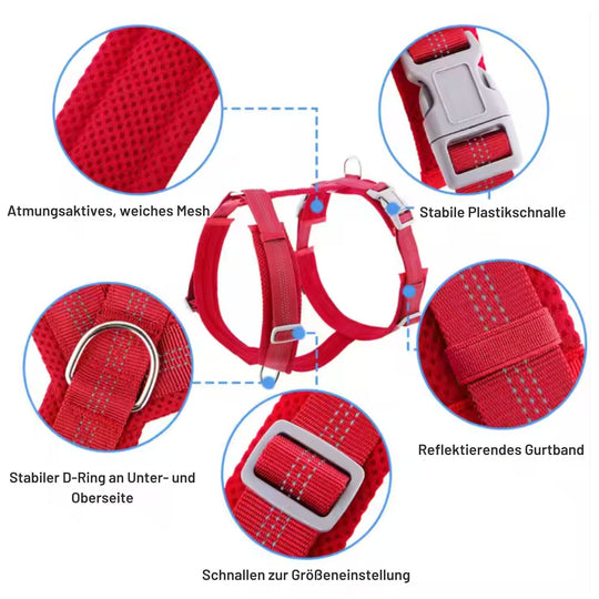 Hundegeschirr „LumiSafe Comfort“