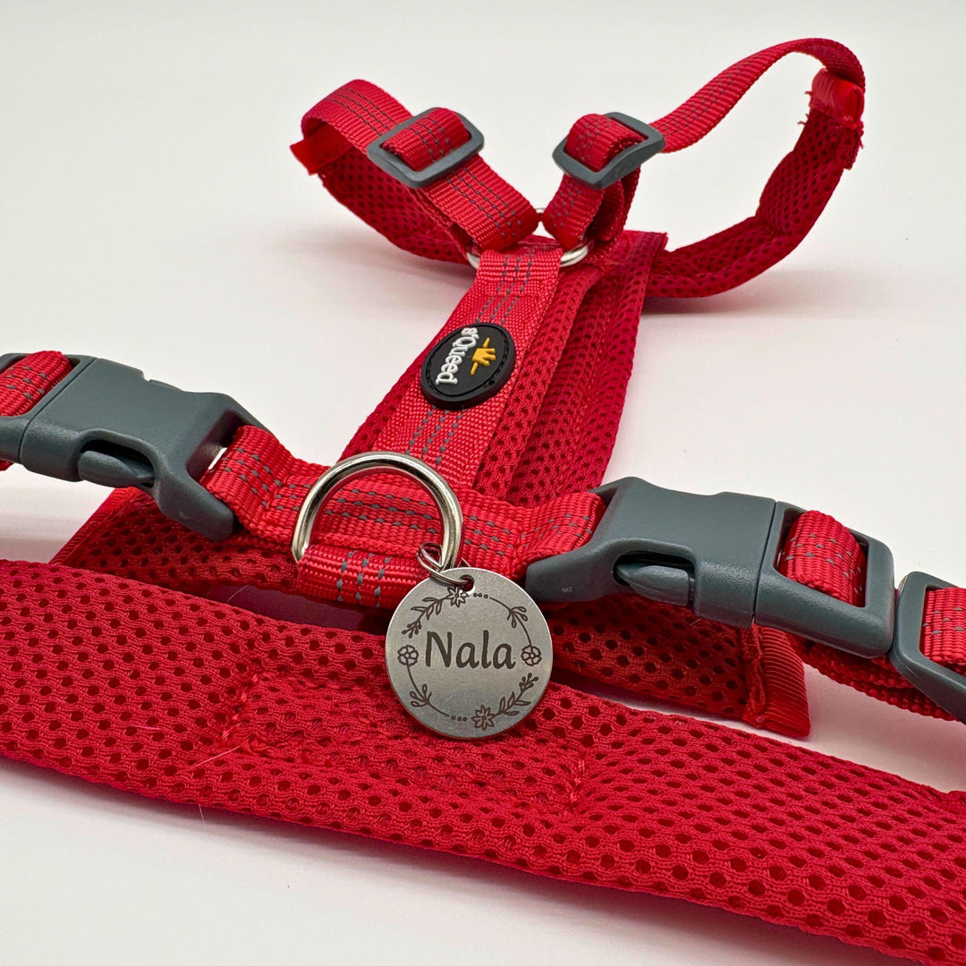 Hundegeschirr „LumiSafe Comfort“