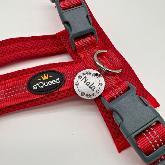 Hundegeschirr „LumiSafe Comfort“