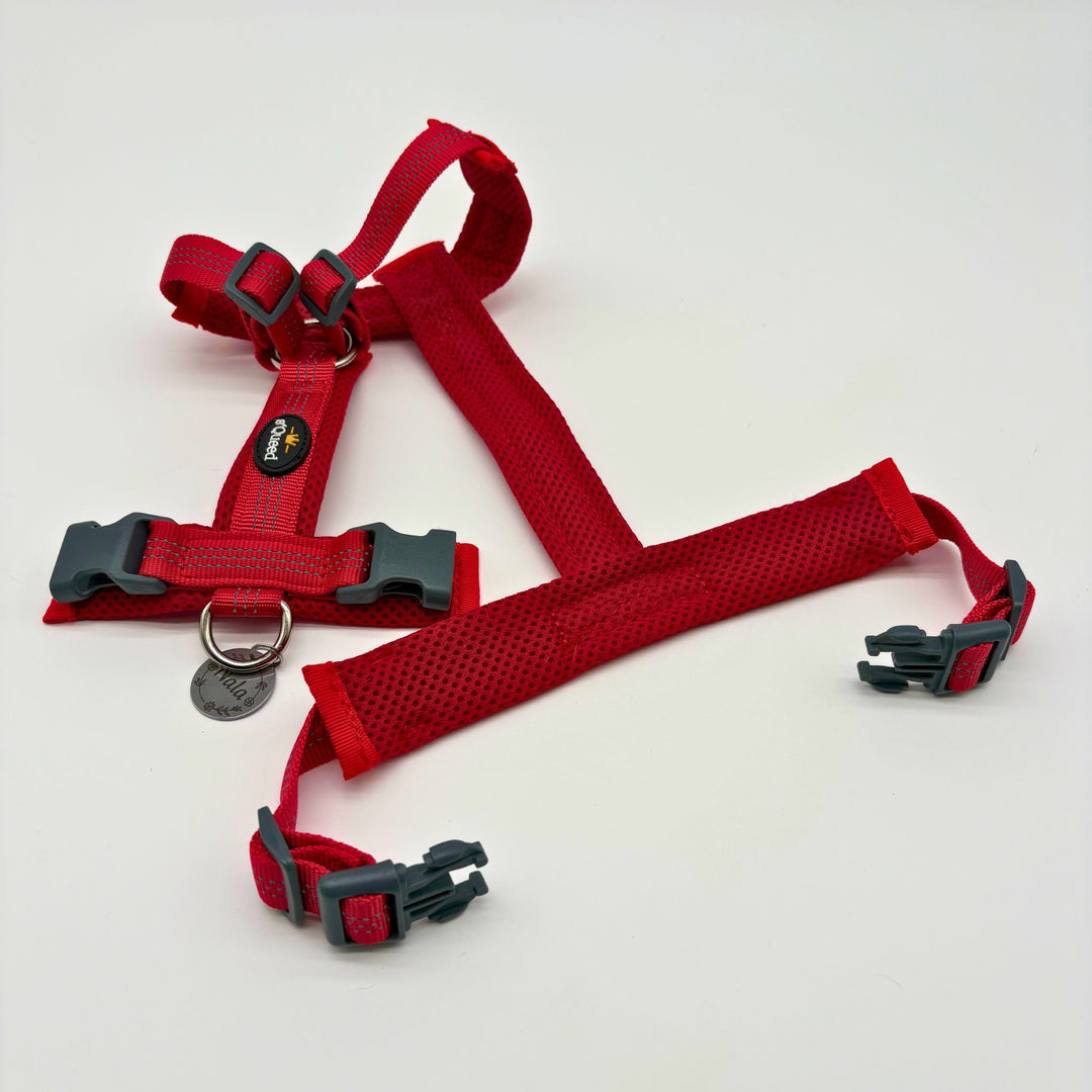 Hundegeschirr „LumiSafe Comfort“