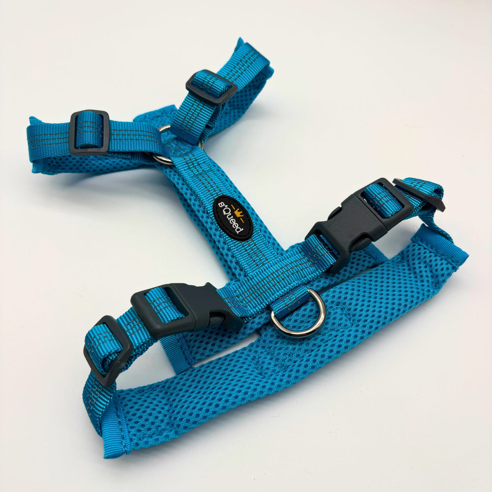 Hundegeschirr „LumiSafe Comfort“