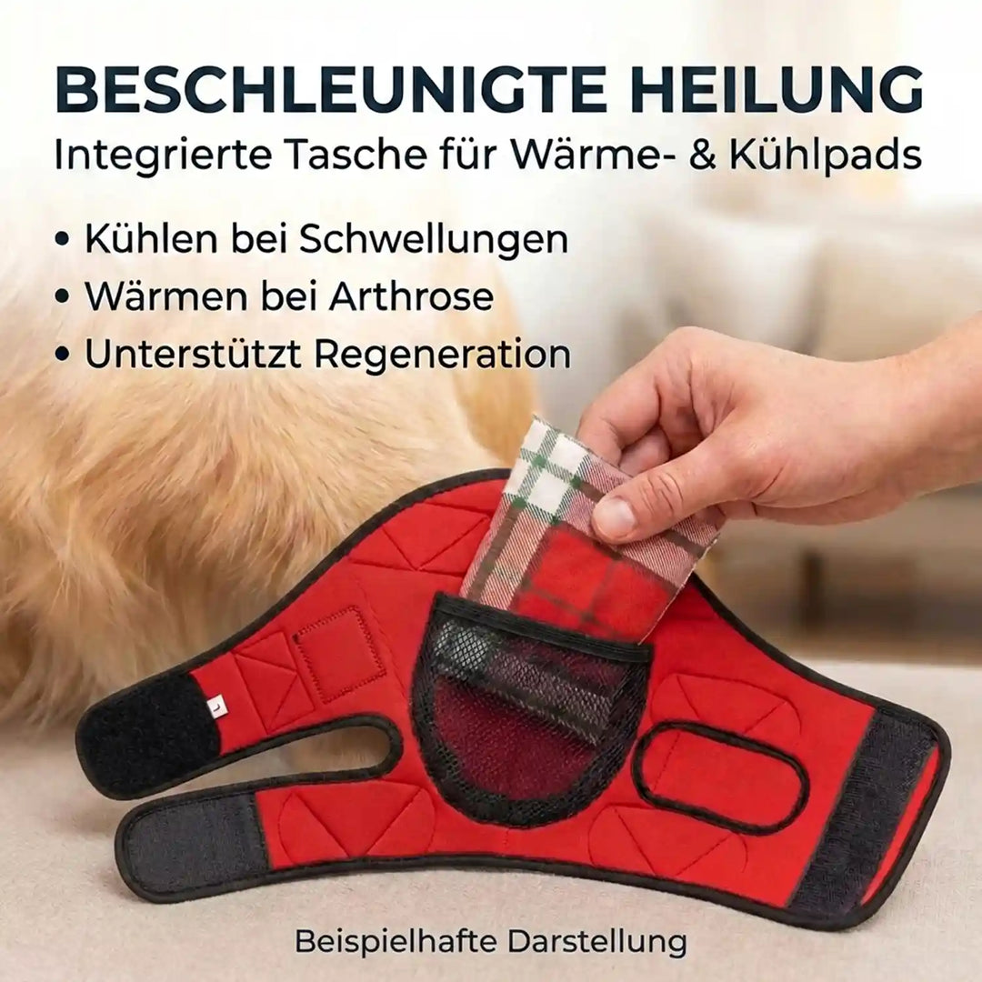 Liegeschwielen Bandage für Hunde