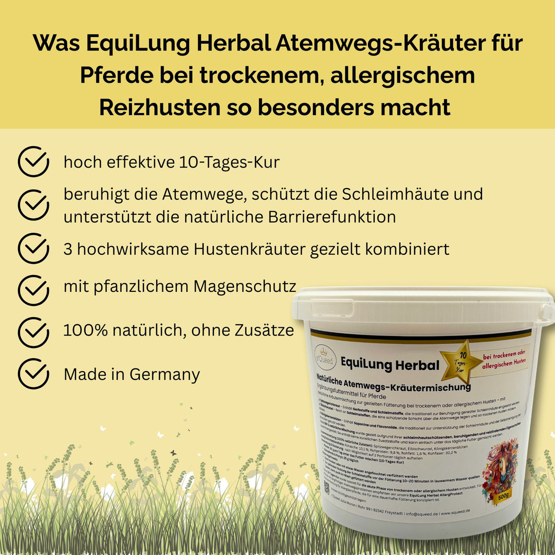 Hustenkräuter für Pferde