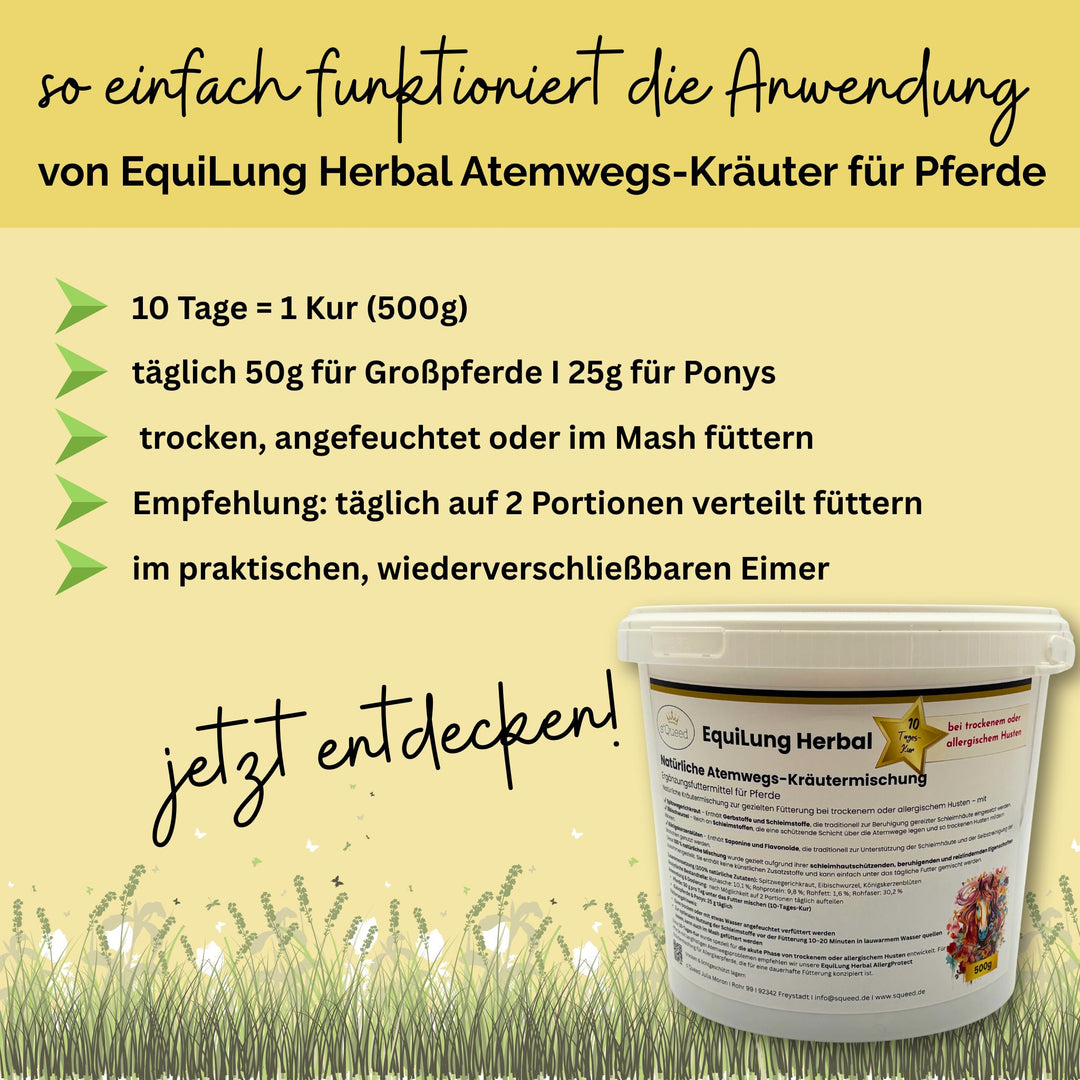 Hustenkräuter für Pferde