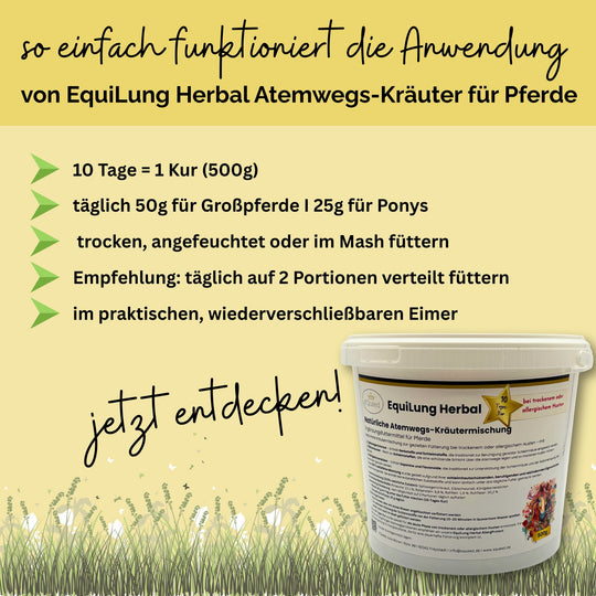 Hustenkräuter für Pferde