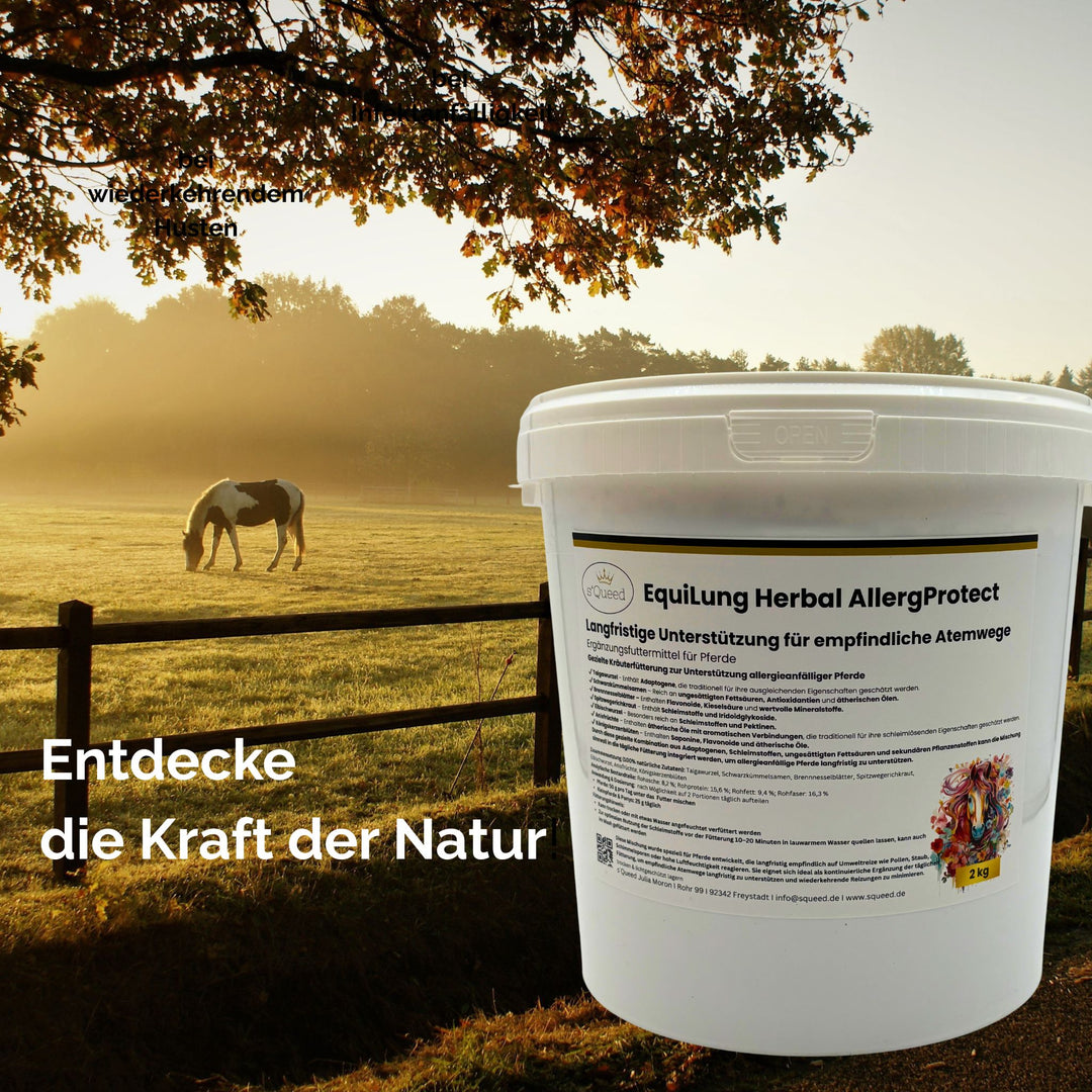 Hustenkräuter für Pferde