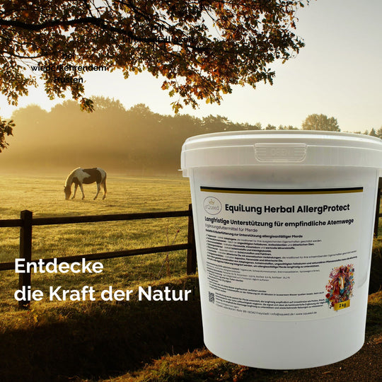 Hustenkräuter für Pferde