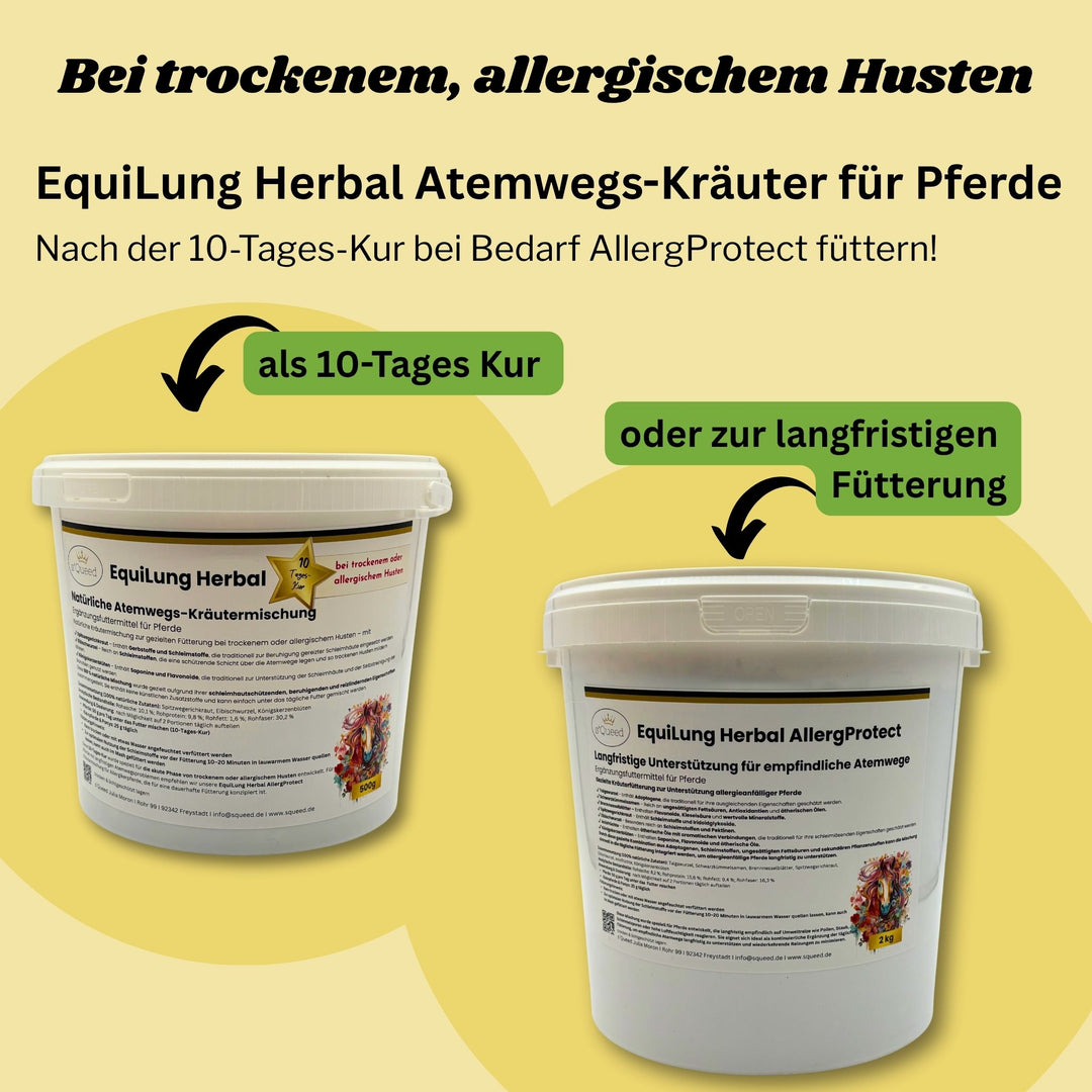 Hustenkräuter für Pferde