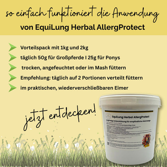 Hustenkräuter für Pferde