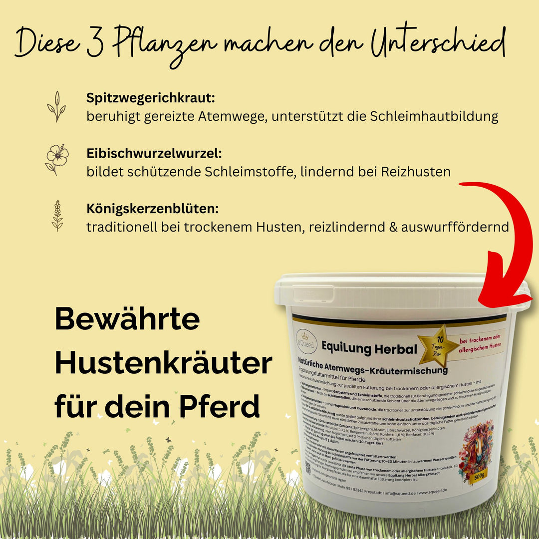 Hustenkräuter für Pferde
