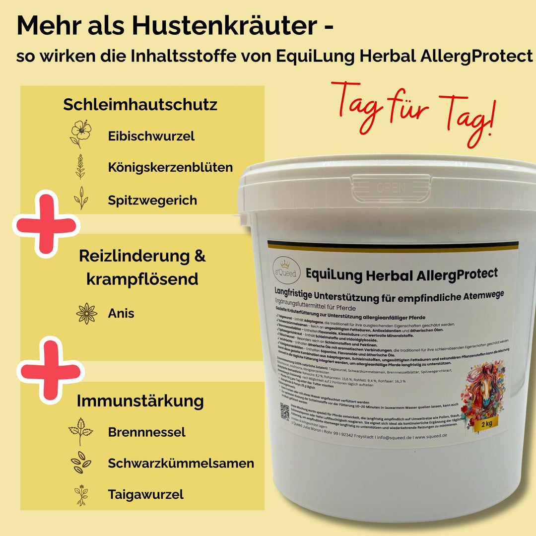 Hustenkräuter für Pferde