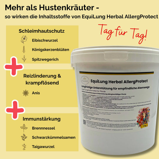 Hustenkräuter für Pferde