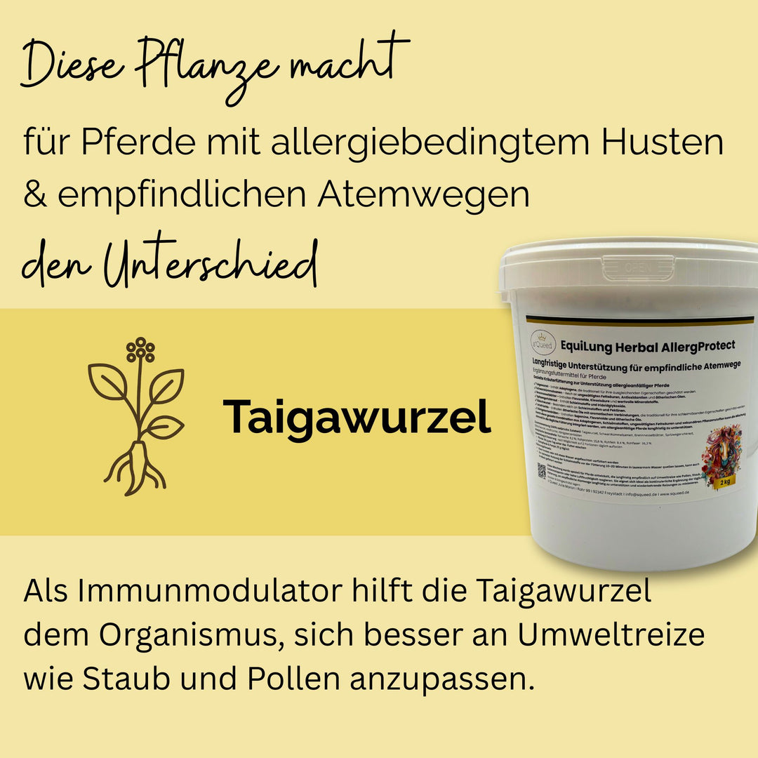 Hustenkräuter für Pferde