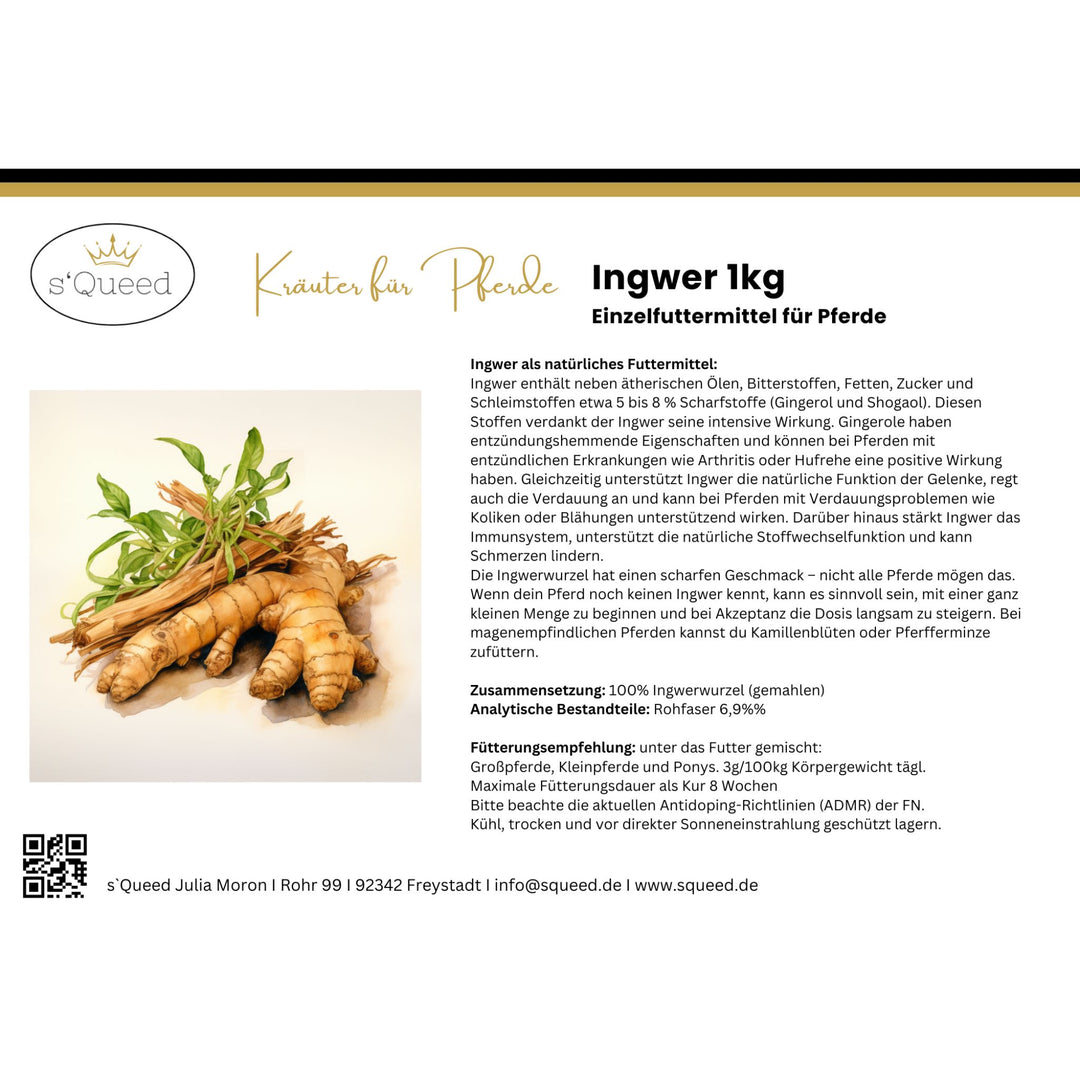 Ingwer Pferd