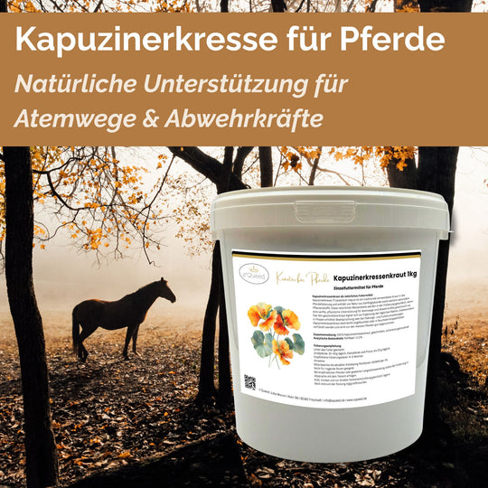 Kapuzinerkresse Pferd 1kg