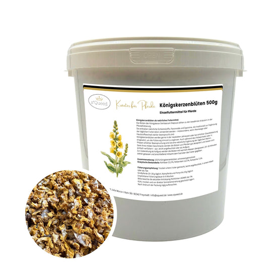 Königskerzenblüten Pferd 500g