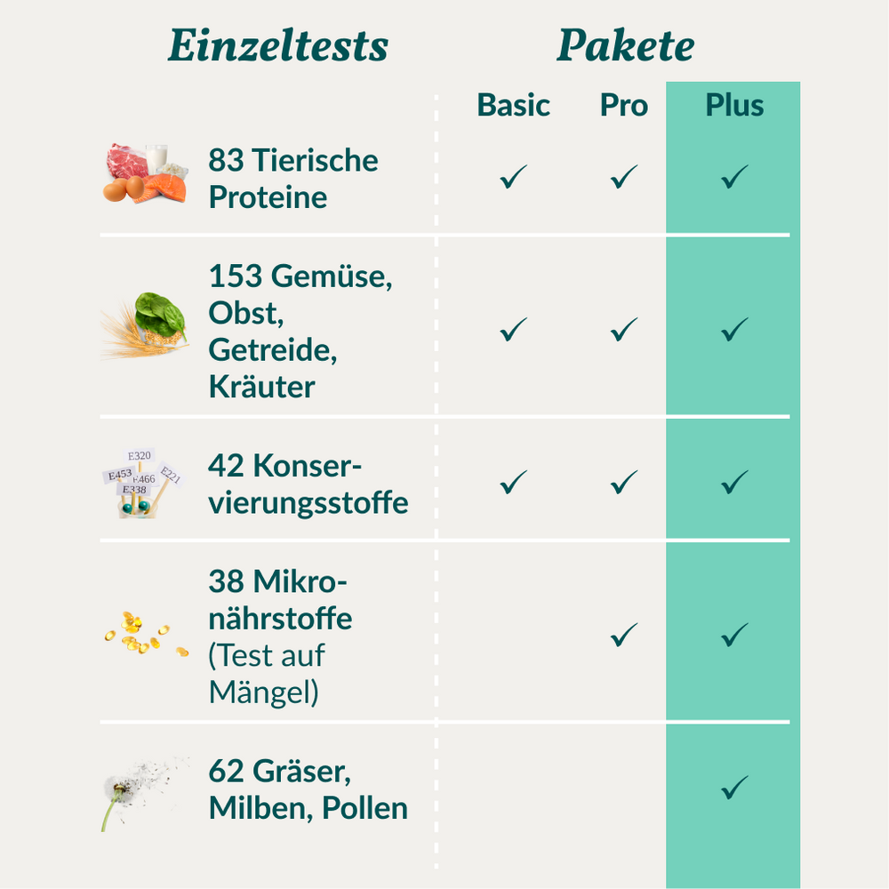 Allergietest Plus Katze