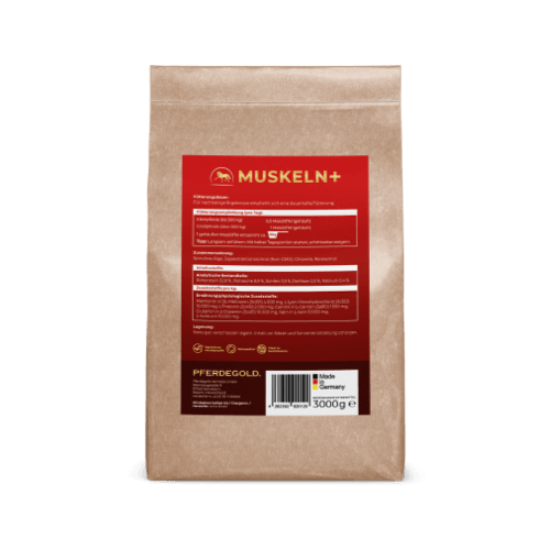 Muskeln+ 2.0