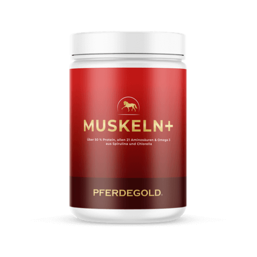 Muskeln+ 2.0