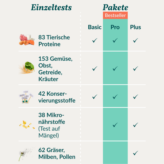 Allergietest Pro Katze
