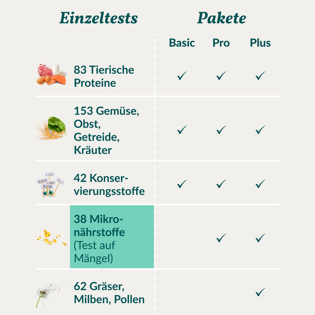Mikronährstofftest - Mängel Katze