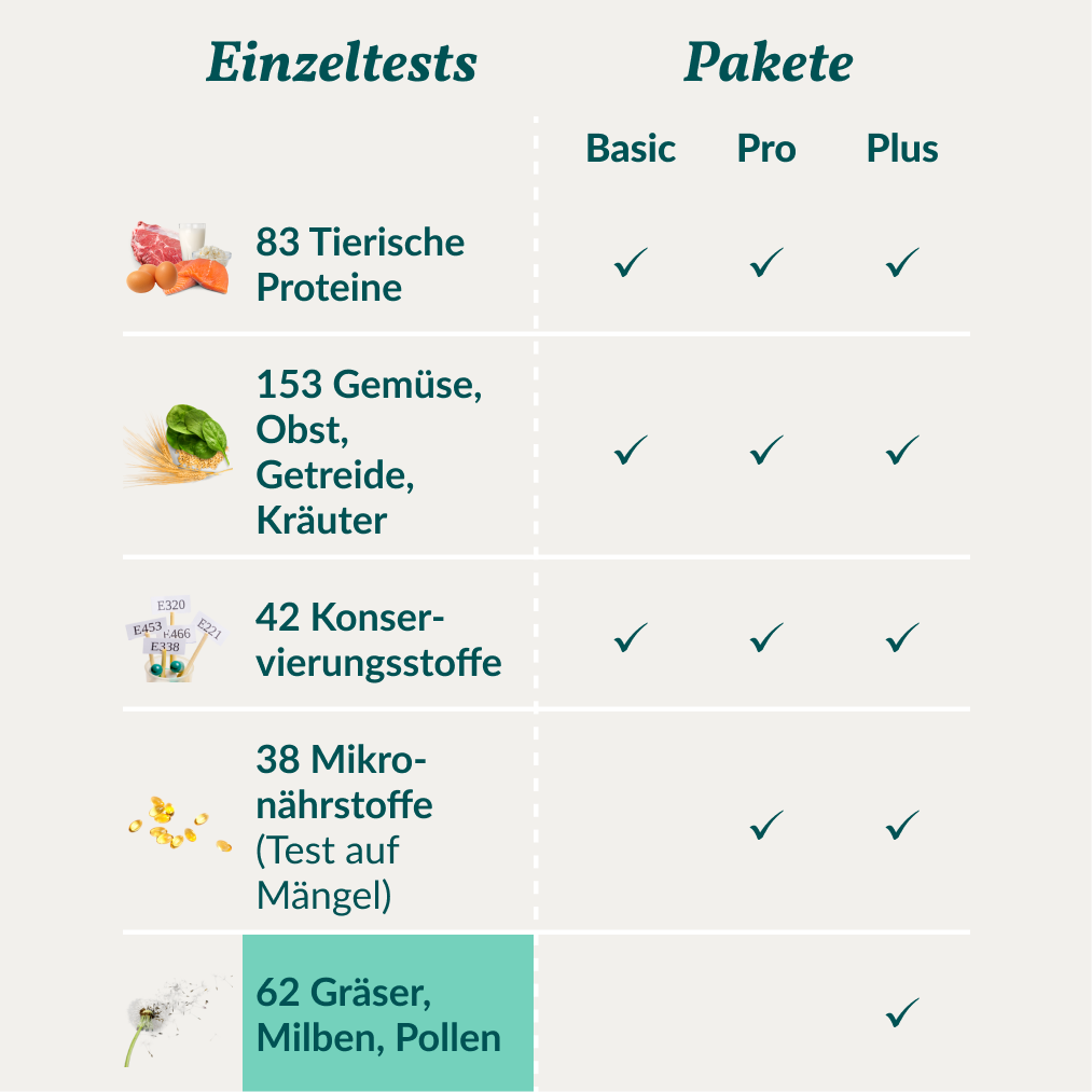 Allergietest - Gräser, Milben & Co. Katze