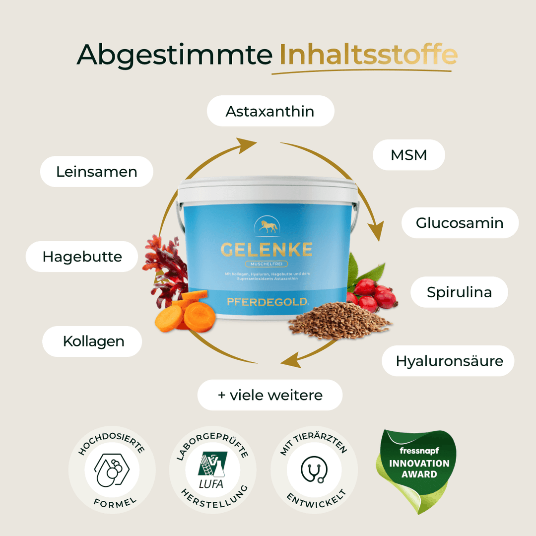 Gelenke Muschelfrei 2.0