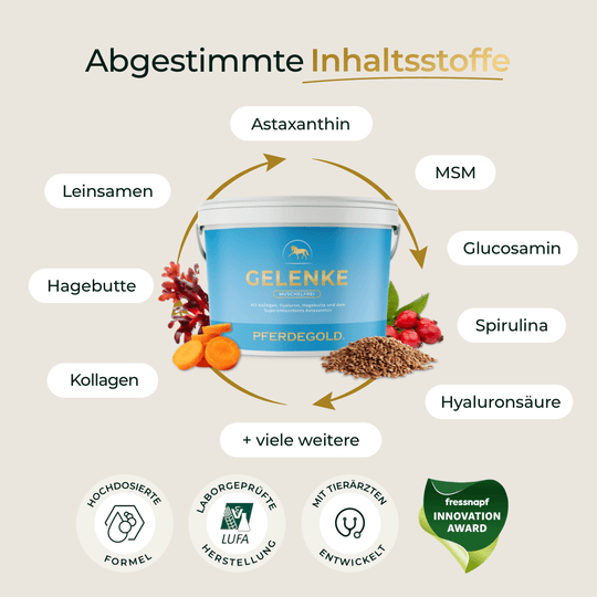 Gelenke Muschelfrei 2.0