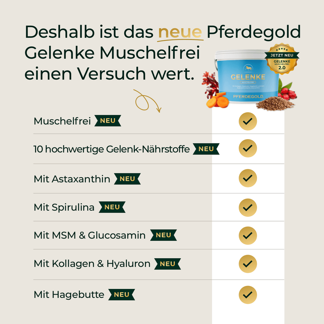 Gelenke Muschelfrei 2.0