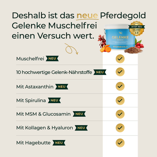 Gelenke Muschelfrei 2.0