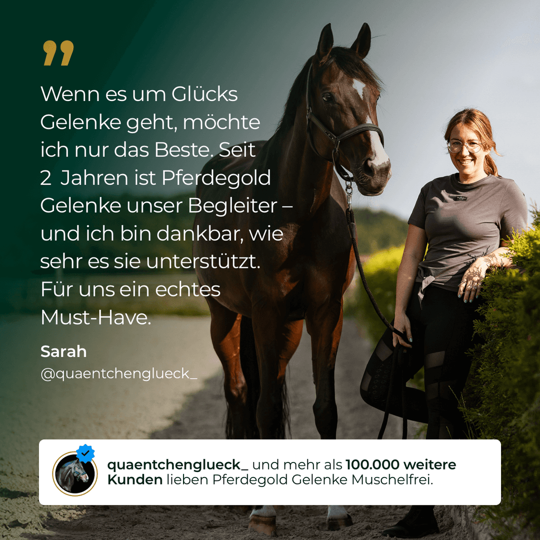 Gelenke Muschelfrei 2.0